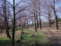 fugio Pianobello01042012 012